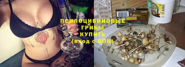 эйфоретик Протвино
